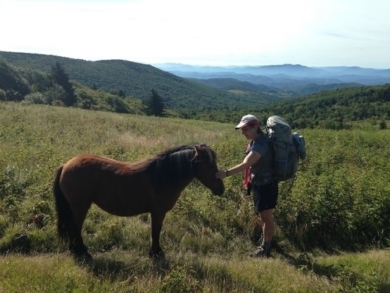 A hiker being greeted by a wild pony in the mountains