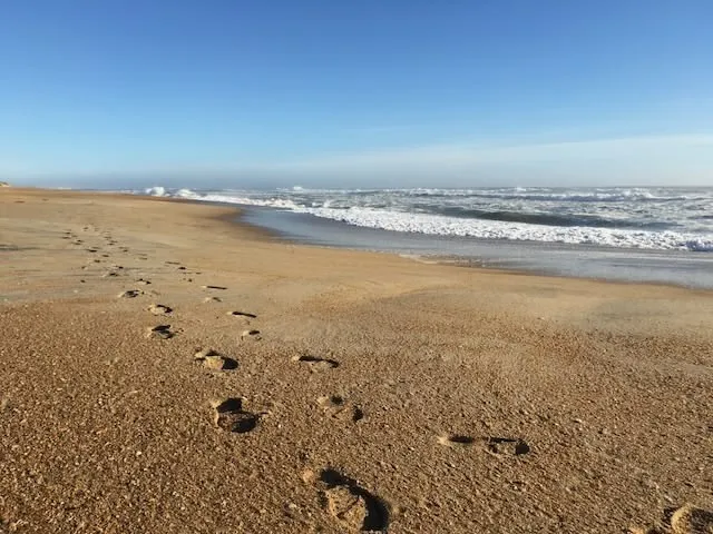 Footprints alongthe shore of Cape Hatteras National Seashore