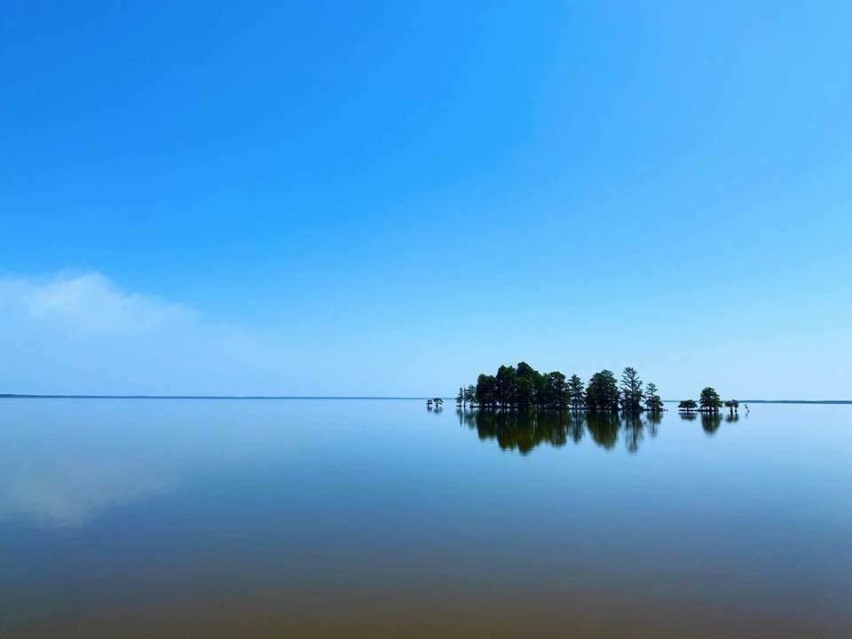 A line of trees against the horizon, fronted by a mirror-smooth lake