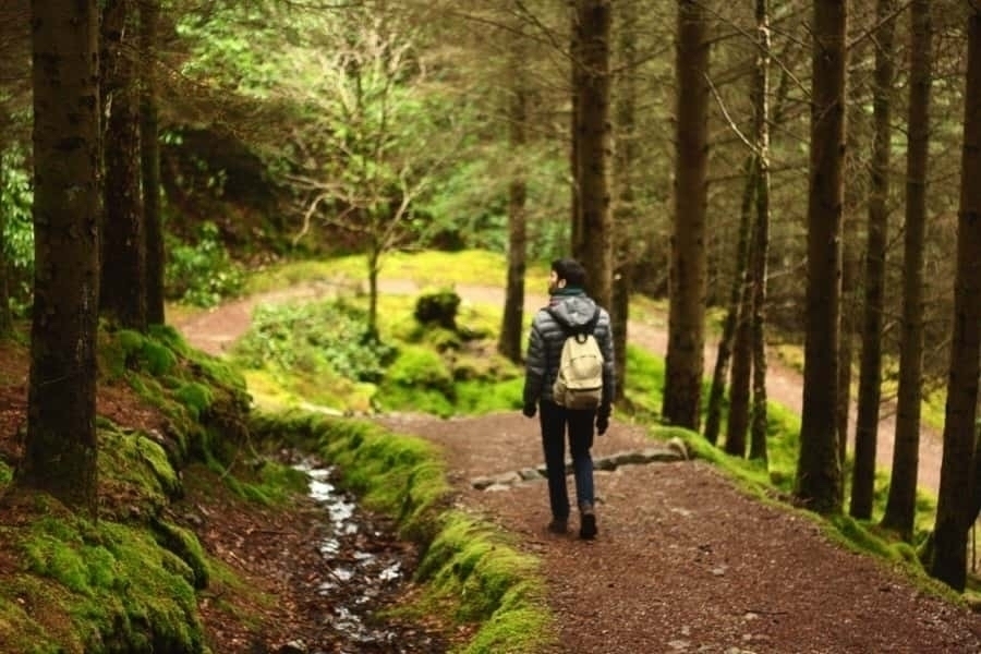 Man walking in the woods between trees