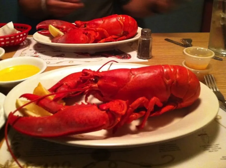 Two Maine lobsters served for dinner