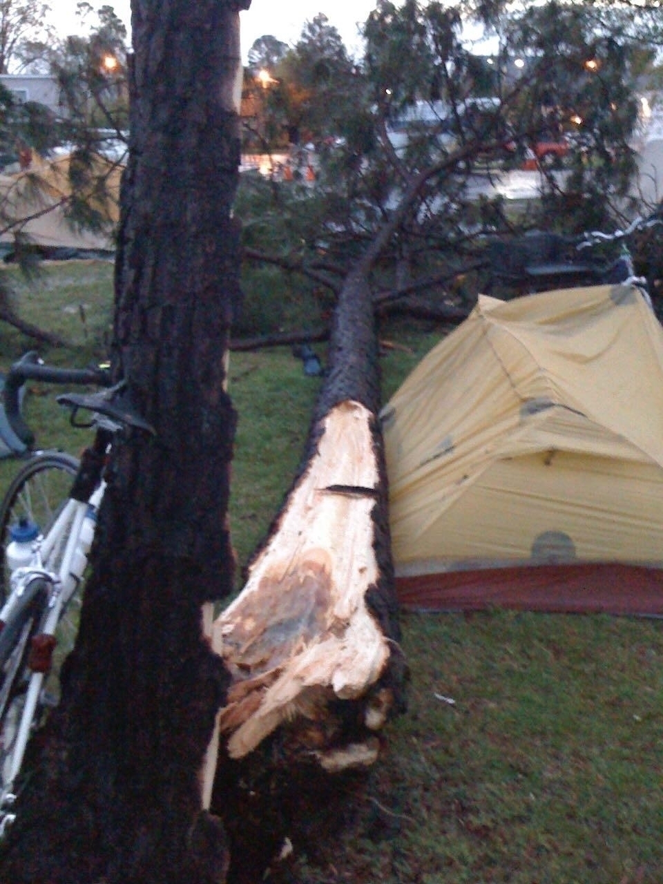 A fallen tree that narowly missed crushing a tent