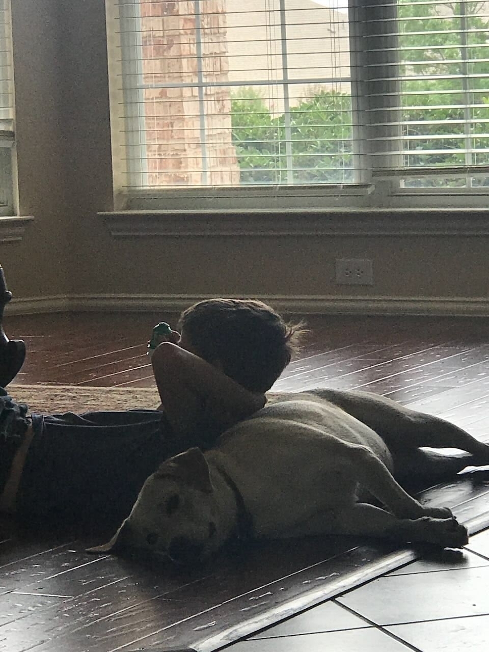 A young boy leaning against a reclining dog.