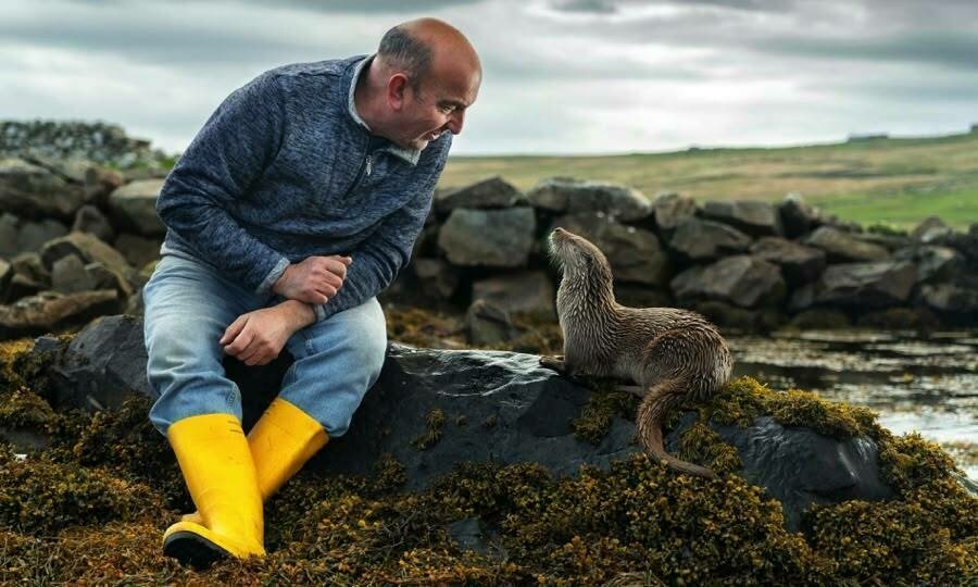 A man sitting beside on otter on sea rocks