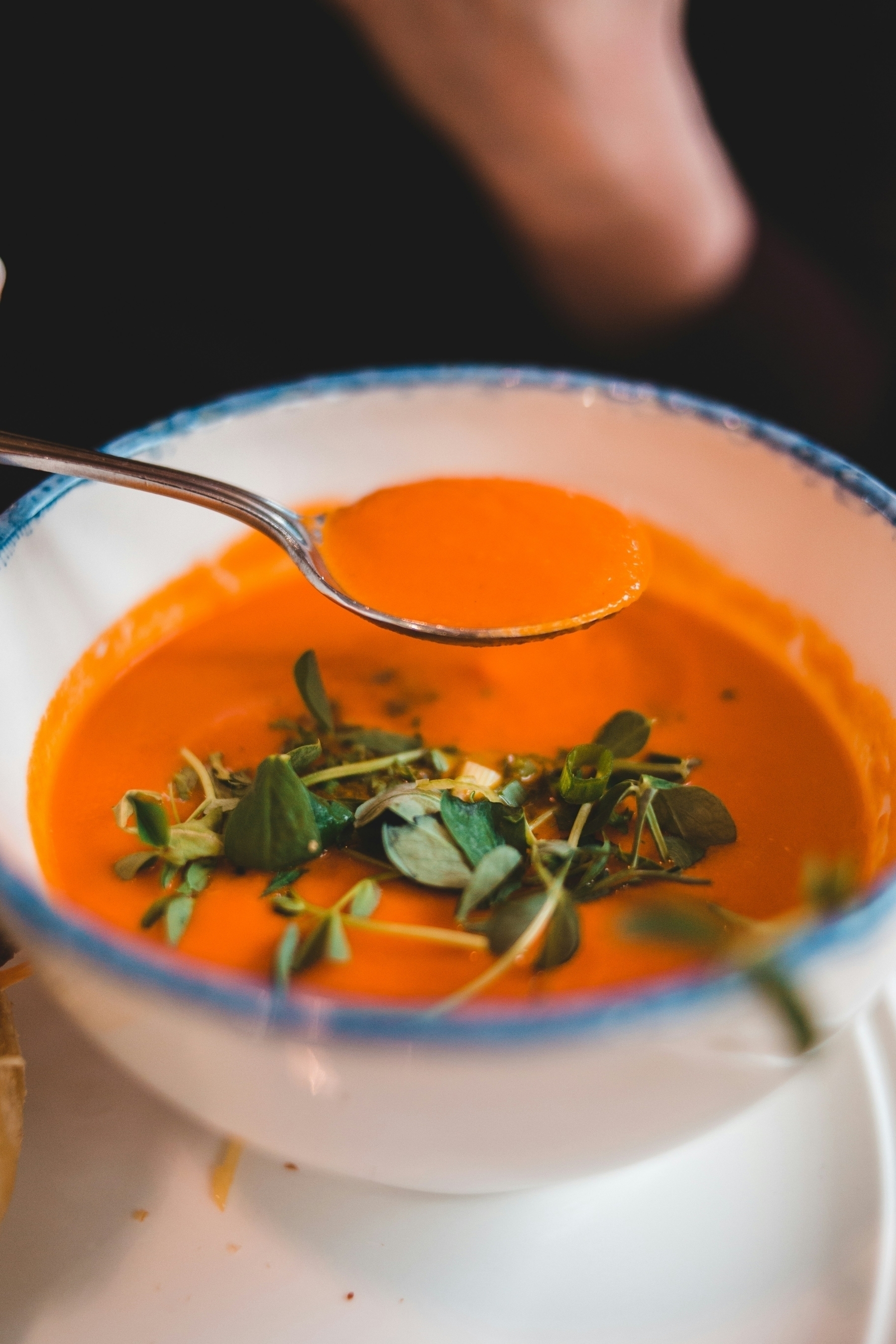 A white bowl with a blie ri, containing a red colored soup garnished with green leaves