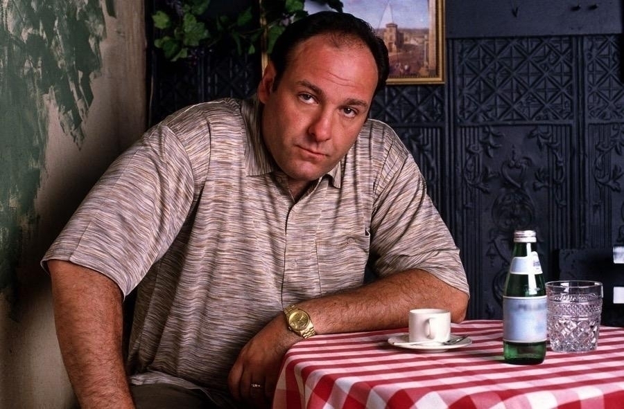 James Gandolfini as Tony Soprano