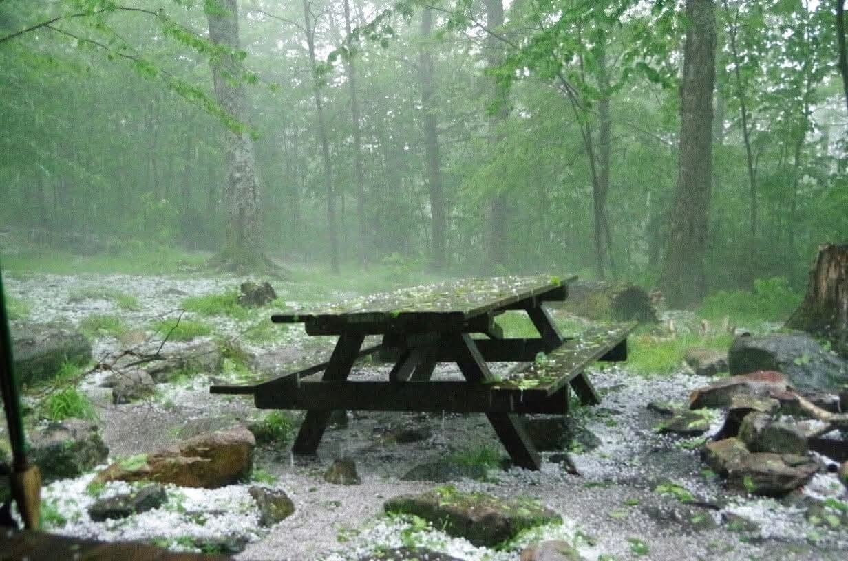 A picnic table in a forest is surrounded by a ground covered in light hail.