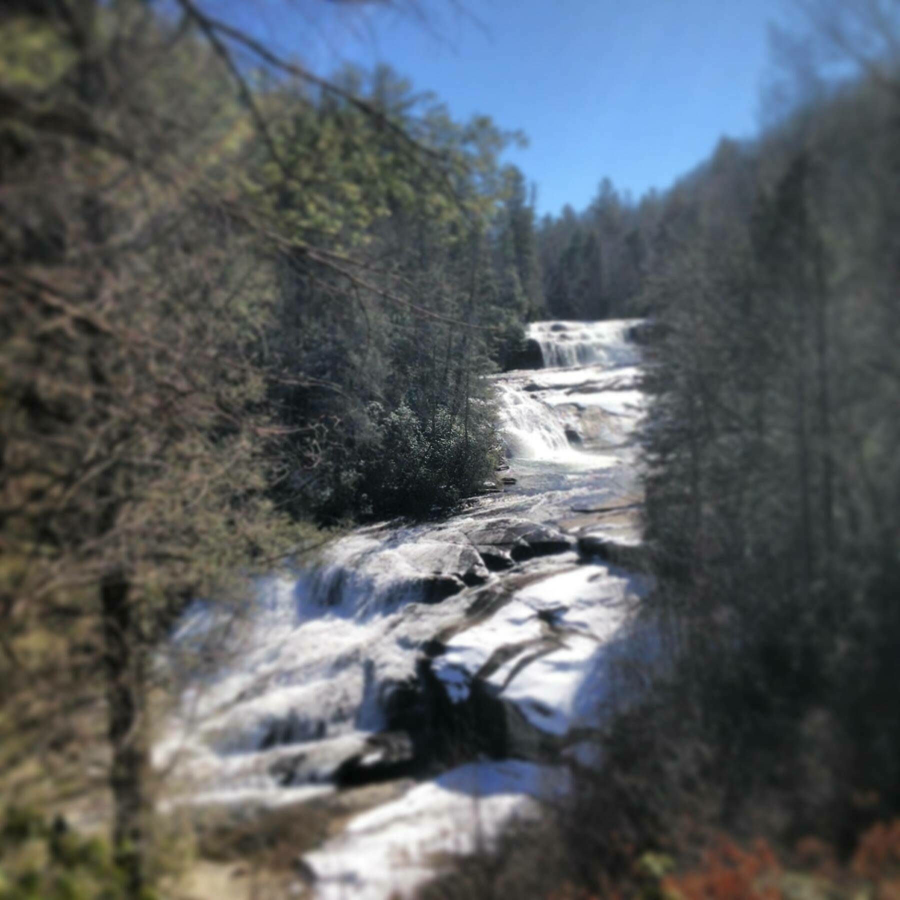 A cascading waterfall flows through a forested area surrounded by lush trees.