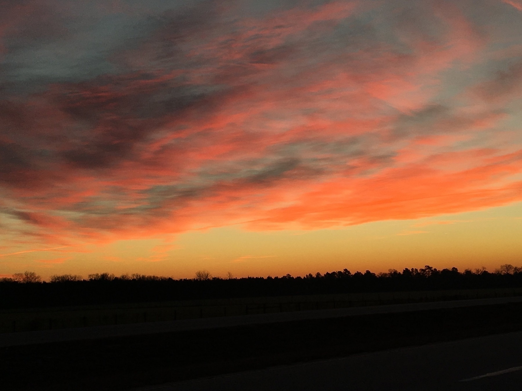 Orange and pink clouds stretch across the sky, creating a vibrant sunset over a silhouette of trees on the horizon.