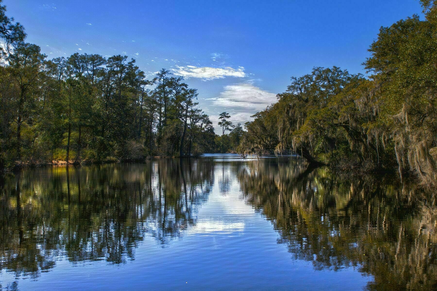 A serene river reflects the surrounding trees and sky under a clear blue atmosphere.