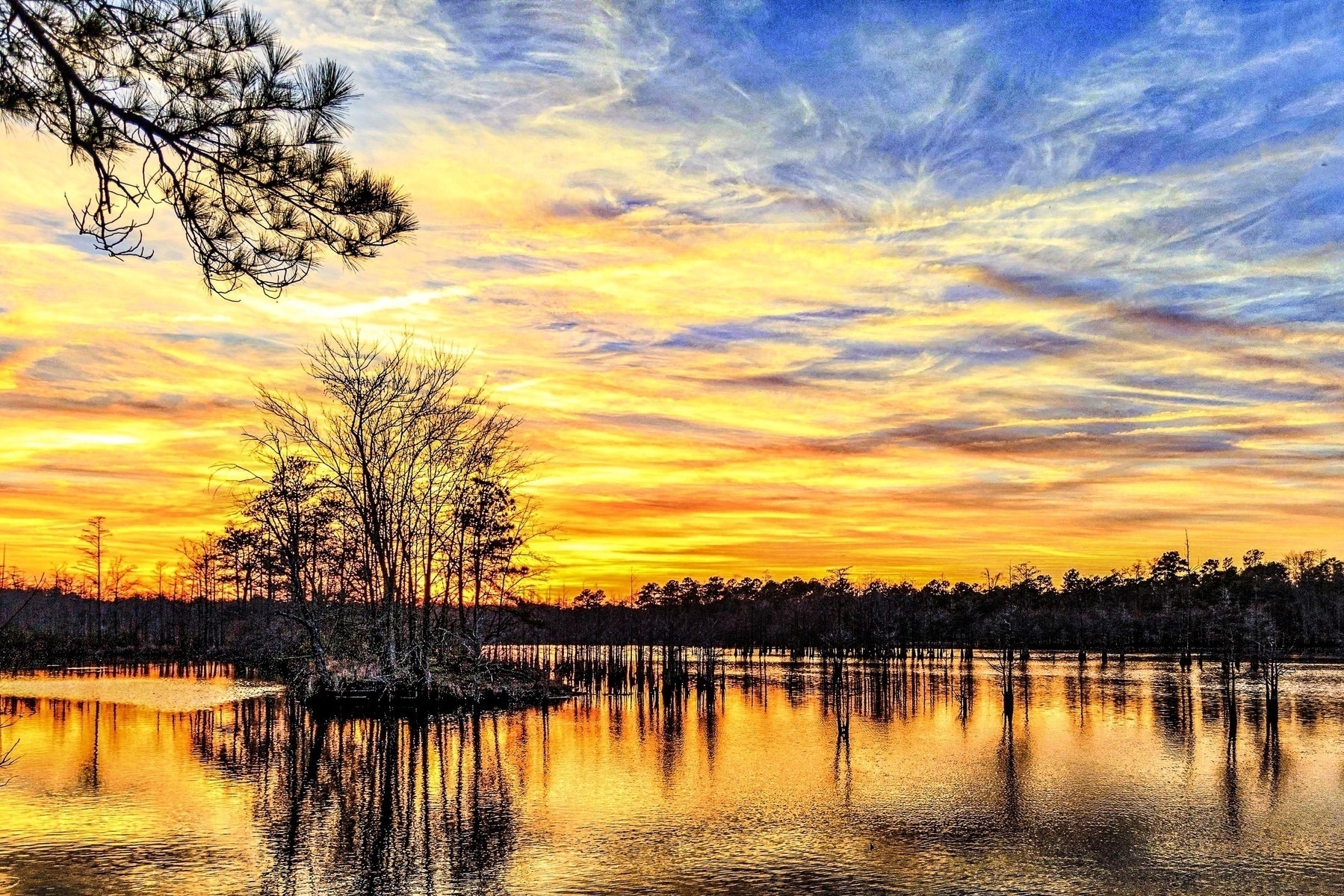 Sunset over a tranquil lake with still water reflecting the vibrant orange, yellow, and blue hues of the sky. Bare trees are silhouetted against the horizon, and a few branches extend from the upper left corner. The scene is serene and picturesque.