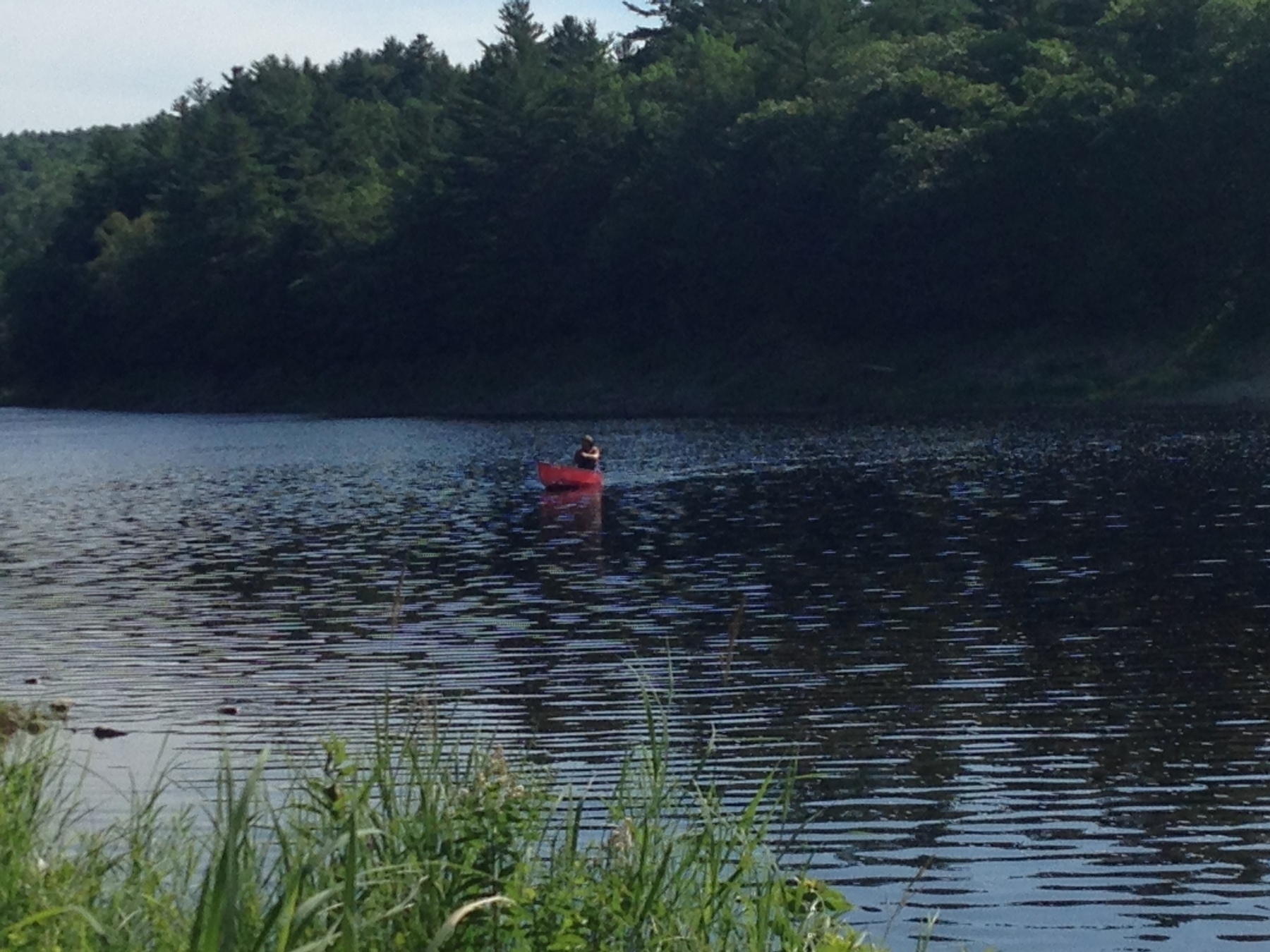 A person is paddling a kayak on a calm river surrounded by dense, wooded greenery.