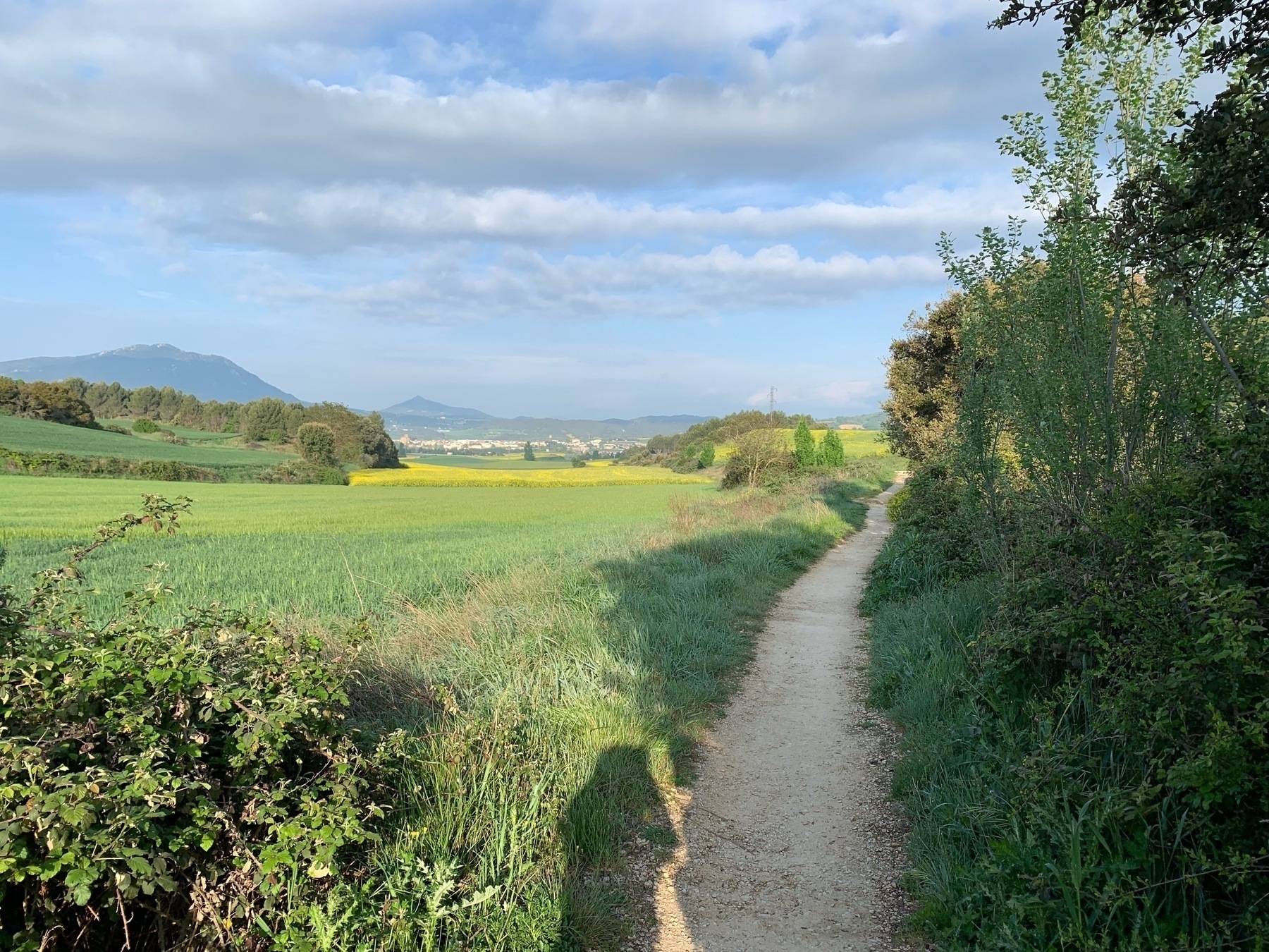 A scenic rural path winds through lush green fields under a partly cloudy sky.