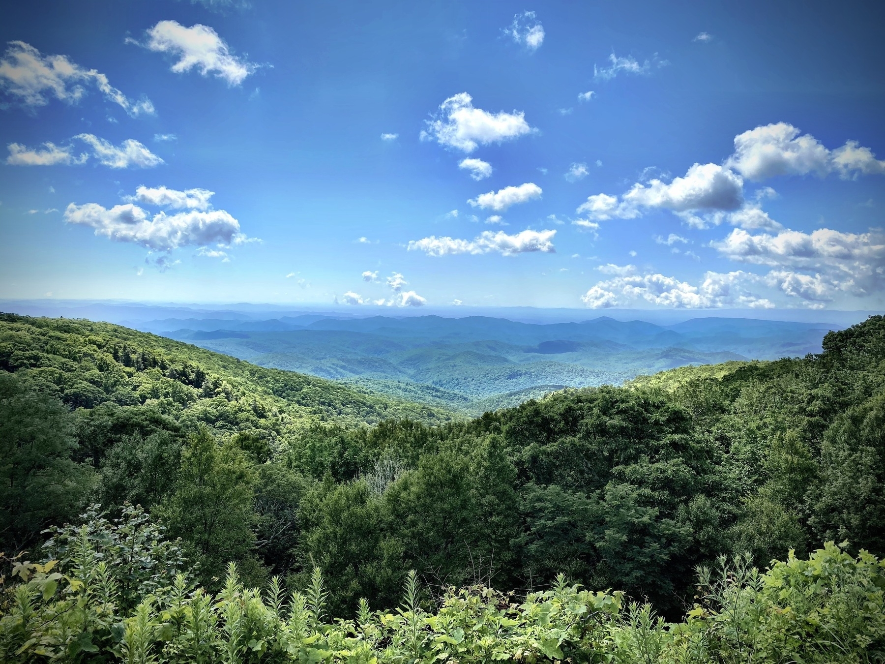 A vast expanse of lush green forests stretches out towards distant blue mountains under a sky filled with fluffy white clouds.