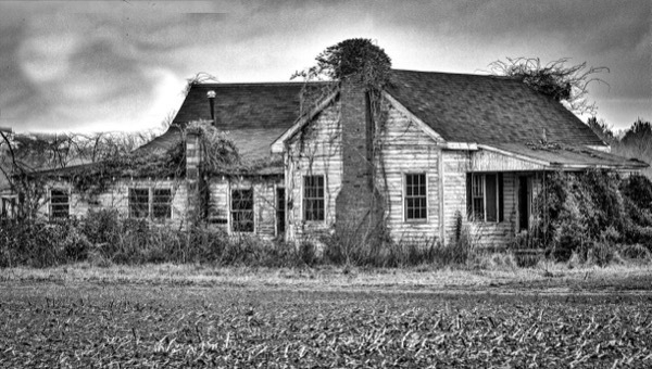 An abandoned, weathered house stands covered in overgrown vines, surrounded by a barren field under a cloudy sky. The scene conveys desolation and neglect.