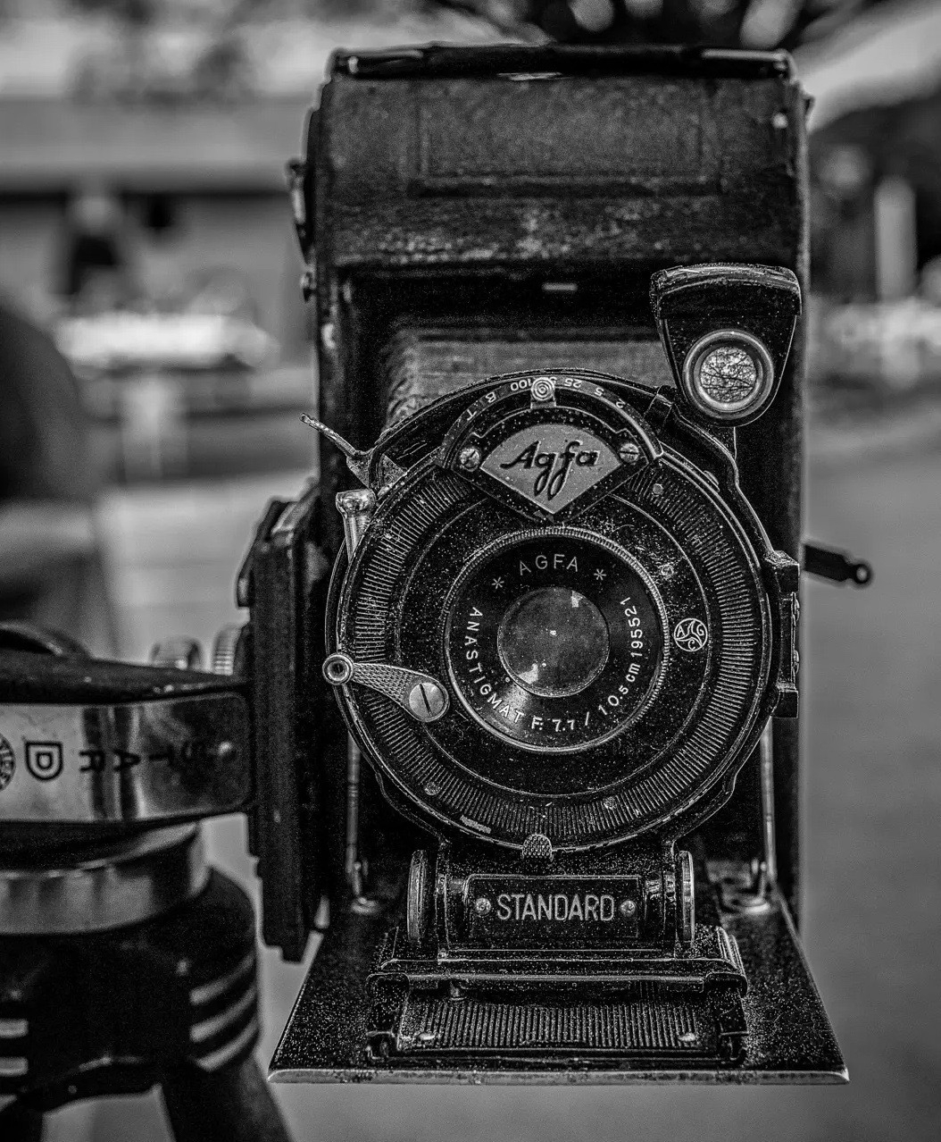 A vintage Agfa folding camera is mounted on a tripod, captured in a black and white photo.