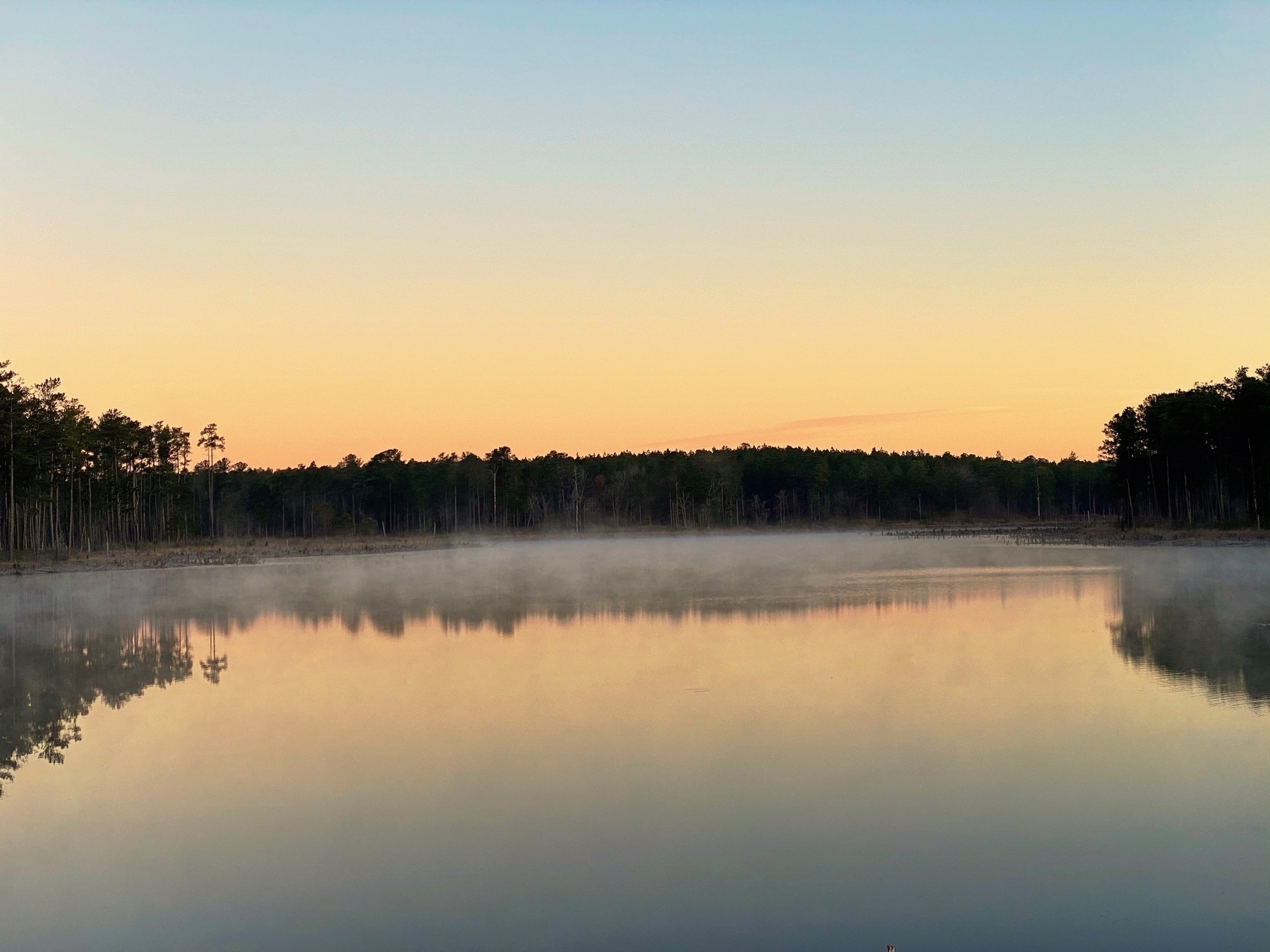 A serene lake reflects the surrounding forest under a pastel-colored sky at sunrise or sunset.