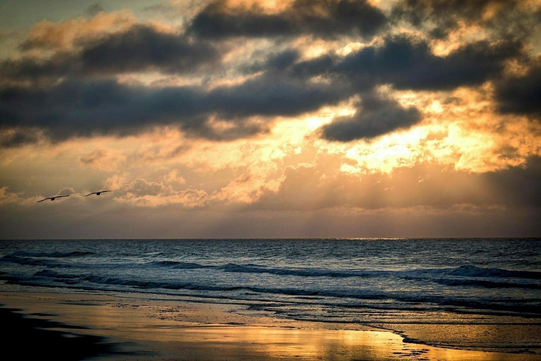 A serene beach scene at sunrise or sunset, with a dramatic sky filled with dark clouds and warm golden light breaking through. The ocean waves gently roll onto the sandy shore, reflecting the vibrant colors of the sky. Two birds are silhouetted in the sky, flying close together over the water.