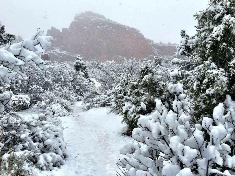 A snowy path winds through a forested area with trees heavily covered in snow. In the background, a large rock formation is partially visible through the falling snow, adding a sense of depth and tranquility to the wintry scene.