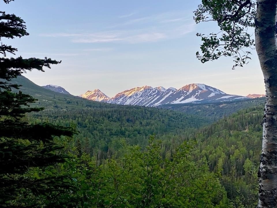 A scenic view showcases snow-capped mountains in the distance, surrounded by lush green forests under a clear sky.