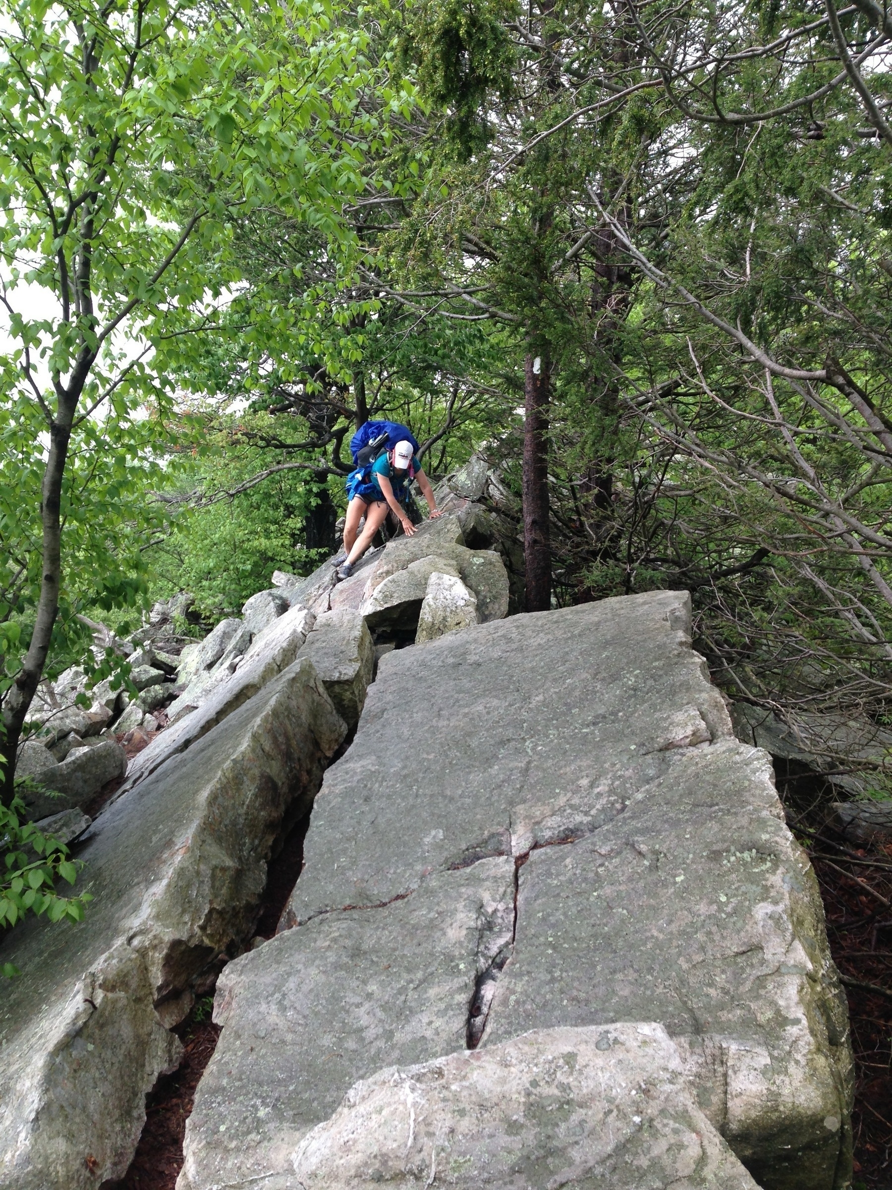 A person wearing hiking gear is climbing over large rocky boulders in a forested area. The individual is carrying a blue backpack and wearing a cap. The surrounding area is lush with leafy green trees.