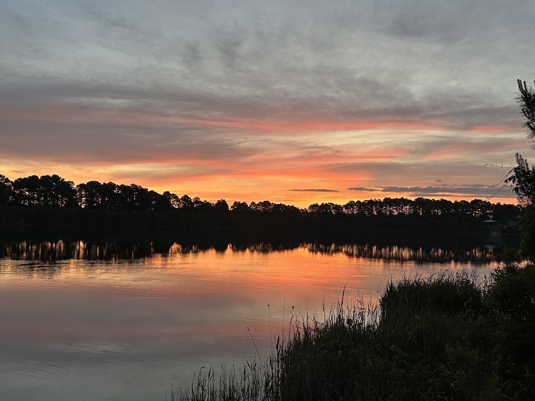 A peaceful sunset scene over a lake, with the sky displaying shades of orange, pink, and gray. The water reflects these colors, creating a mirror-like effect. Trees, silhouetted against the colorful sky, line the horizon, and there are plants in the foreground near the water's edge, enhancing the natural setting.