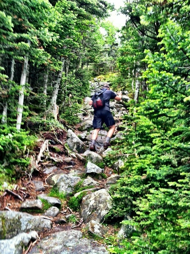 A person wearing hiking gear climbs a rocky path through a dense, green forest, surrounded by tall trees and undergrowth.