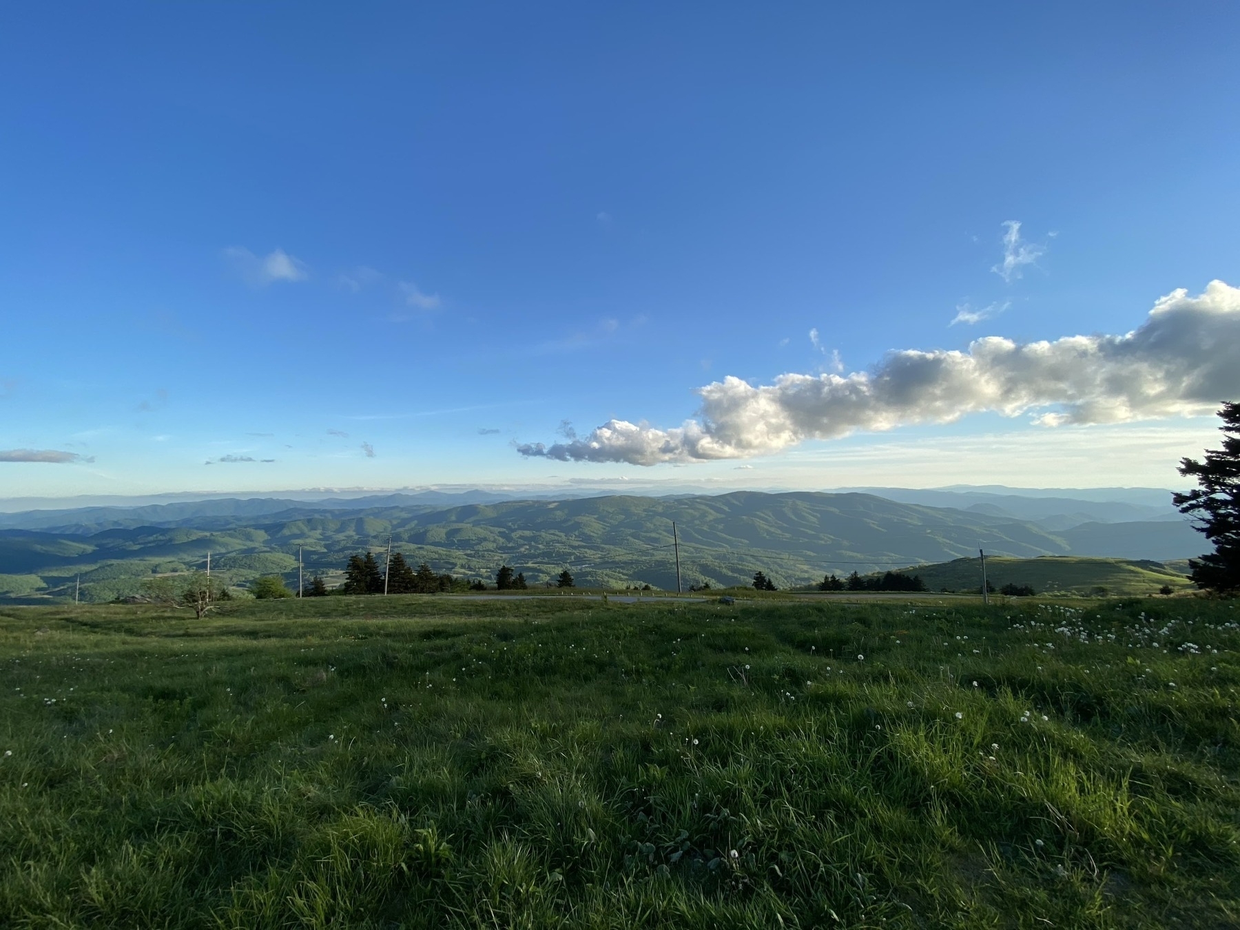 A scenic landscape featuring a range of snow-capped mountains beneath a bright blue sky with wispy clouds. In the foreground, there is a lush, green field of low shrubs and grasses, stretching towards the distant mountains. A thin line of trees is visible at the base of the mountains, separating the field from the peaks beyond.