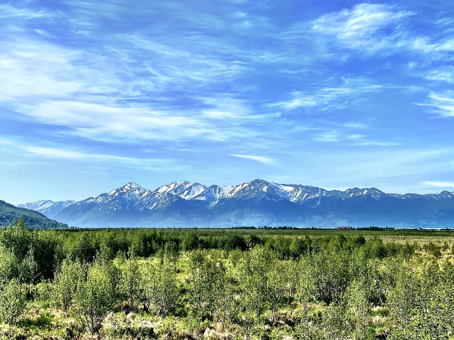A scenic landscape featuring a range of snow-capped mountains beneath a bright blue sky with wispy clouds. In the foreground, there is a lush, green field of low shrubs and grasses, stretching towards the distant mountains. A thin line of trees is visible at the base of the mountains, separating the field from the peaks beyond.