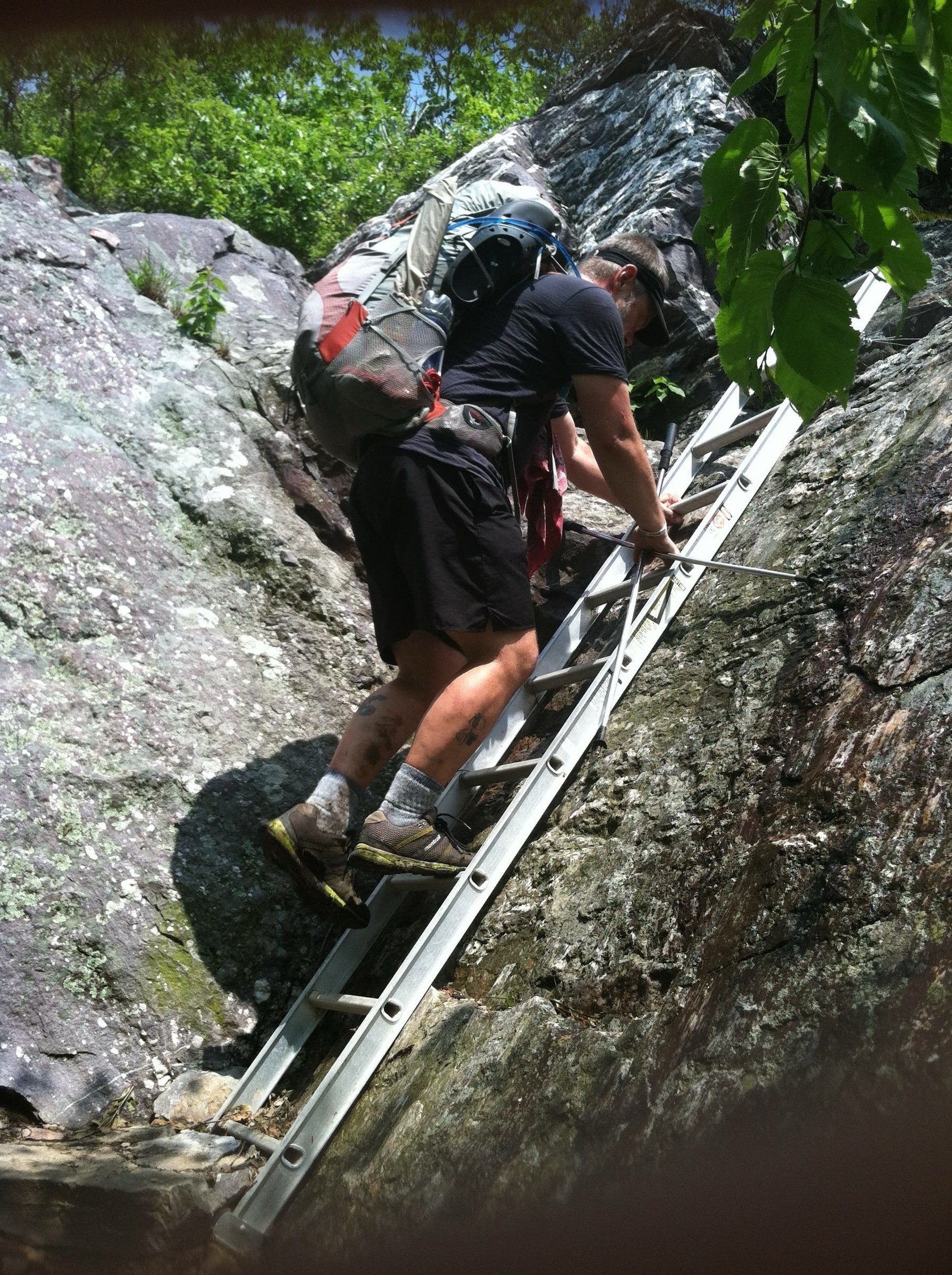 A person wearing hiking gear climbs a metal ladder attached to a rocky slope.
