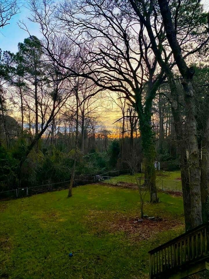 Bare trees stand silhouetted against a colorful sunset sky, overlooking a grassy field bordered by a fence and dense woodland, with a wooden stair railing in the foreground.