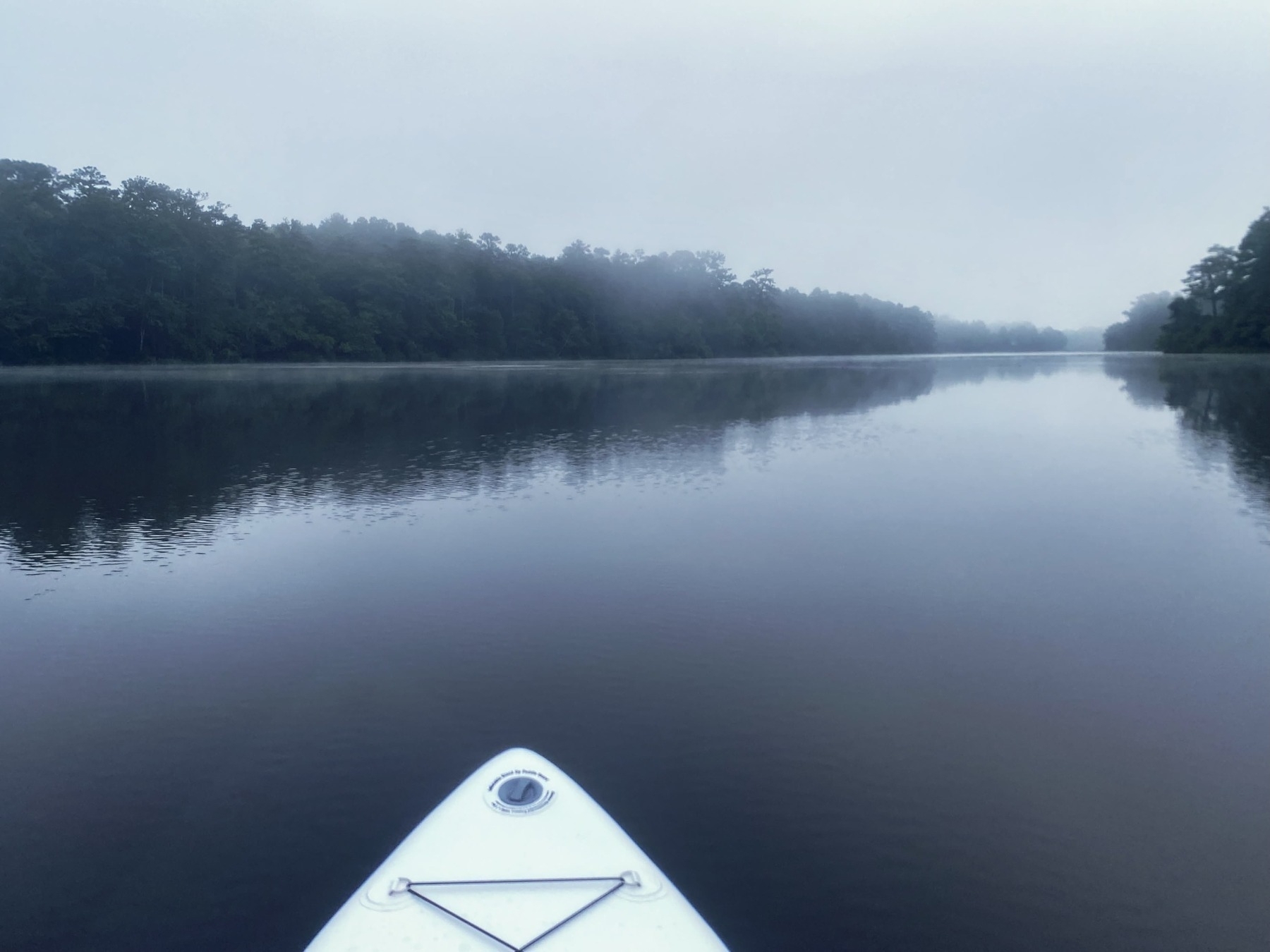 A paddleboard floats quietly on a calm, misty river, surrounded by dense, foggy forest on both banks under a gray sky.