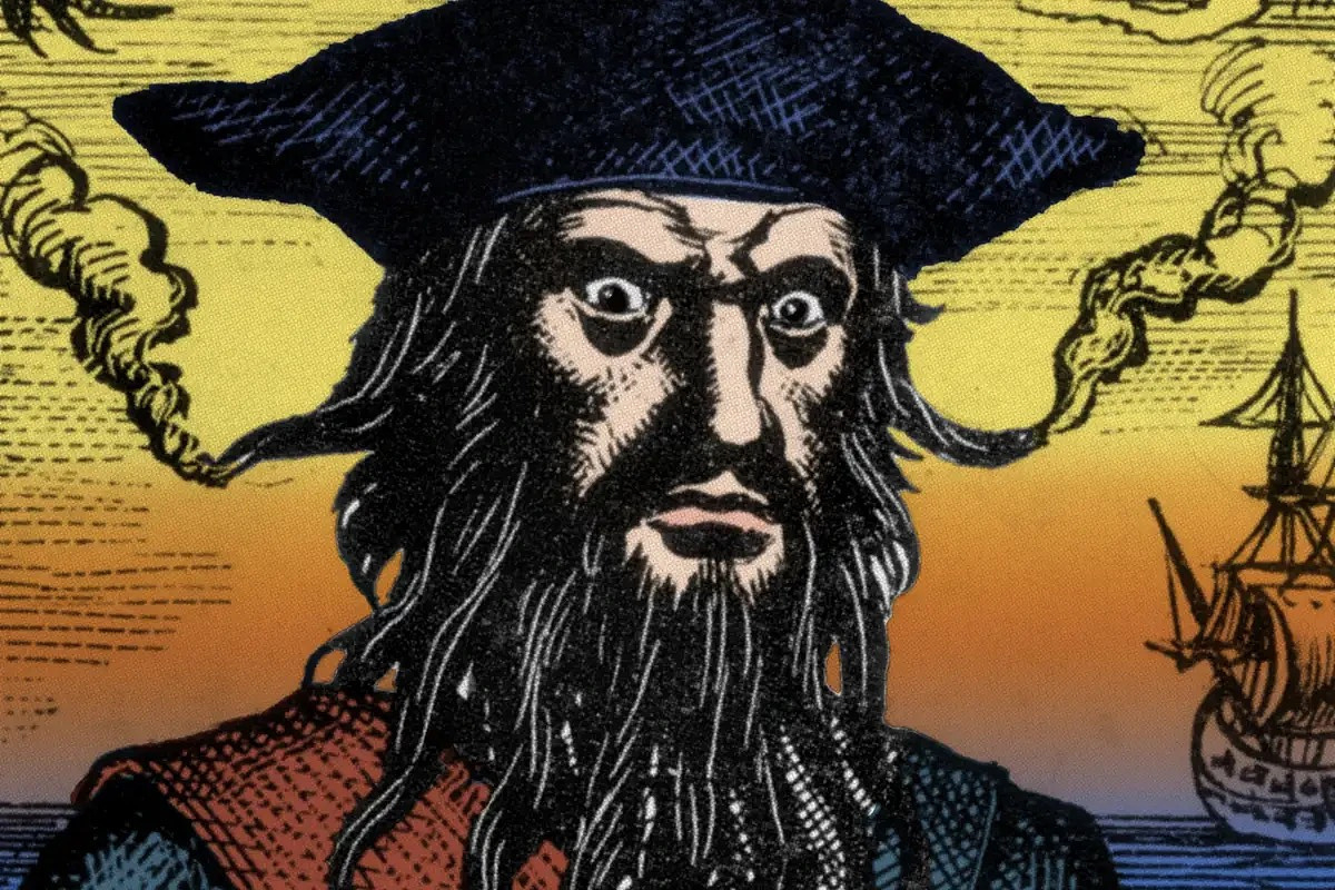 The Pirate's Life