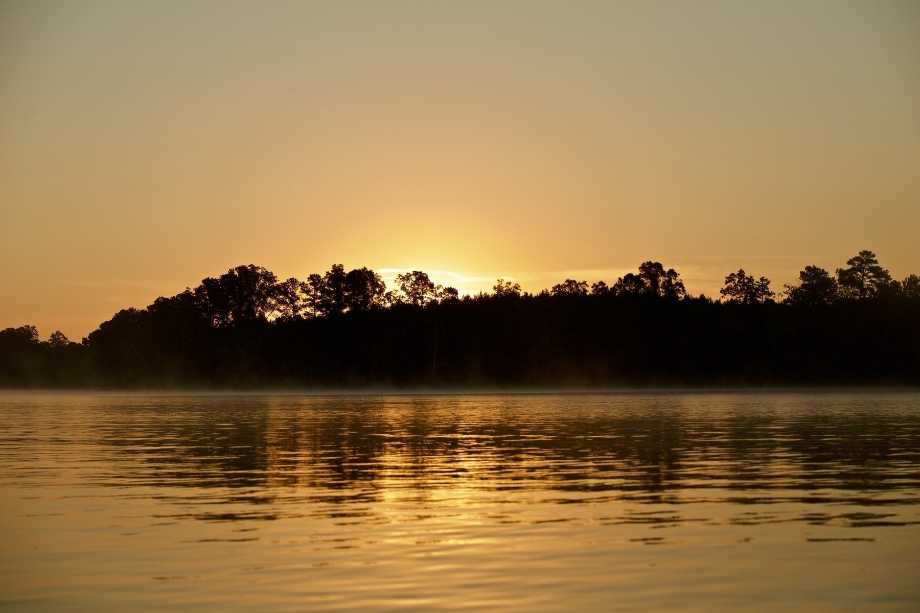 Sun rising behind a tree-lined horizon, casting a warm, golden glow over a calm body of water, reflecting the light in gentle ripples across the surface.