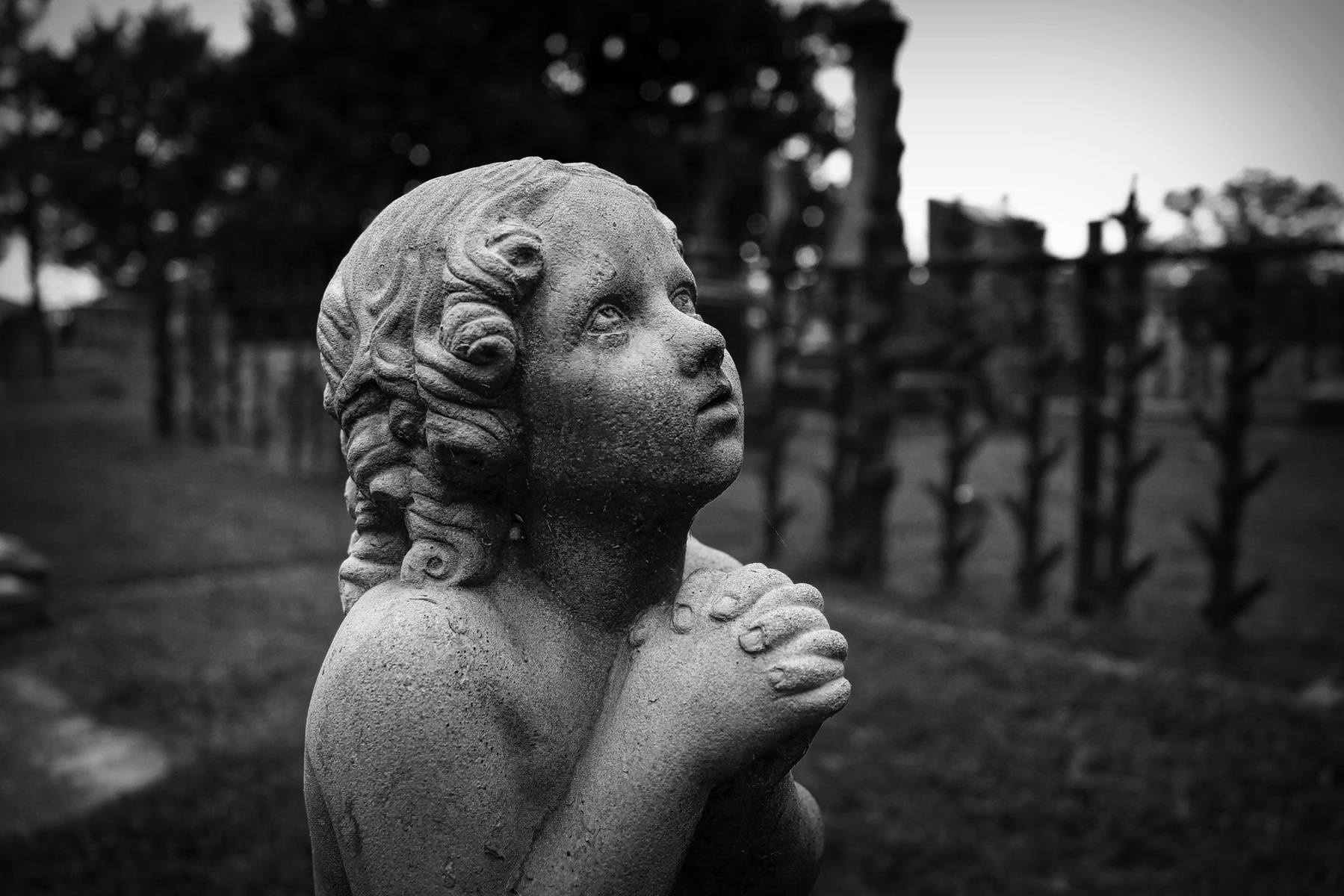 A black and white photograph of a stone statue depicting a cherubic child with curly hair. The statue is looking upward with a serene expression, hands clasped together in front of its chest. The background is blurred, featuring grass and trees, suggesting an outdoor setting such as a garden or cemetery.