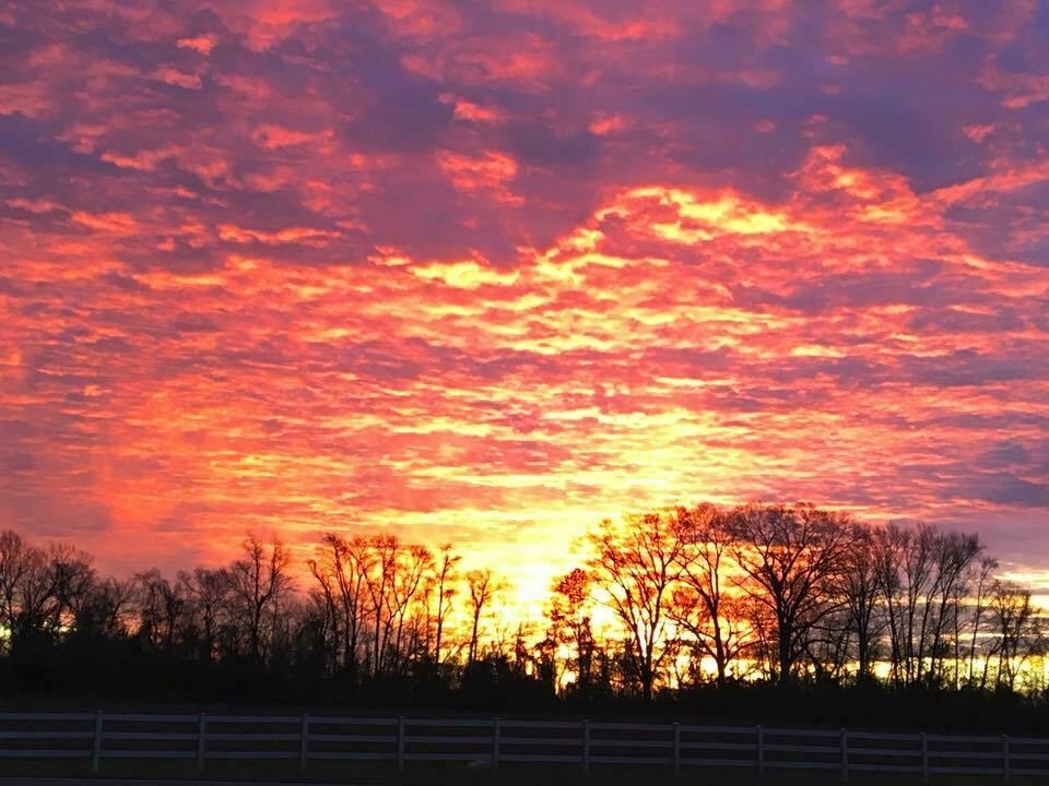 The image displays a vibrant sunrise scene. The sky is filled with a variety of colors, ranging from deep purples and reds to bright oranges and yellows. The clouds have a textured appearance, with some areas appearing almost feathery and others more solid.  In the foreground, there is a row of silhouetted trees, their bare branches reaching up against the colorful sky. The sun is partially visible just above the horizon, casting a warm glow on the scene.  There is also a fence visible in the foreground, adding a sense of depth and perspective to the image. The overall composition of the photograph is well-balanced, with the elements of the sky, trees, and fence working together to create a visually appealing scene.