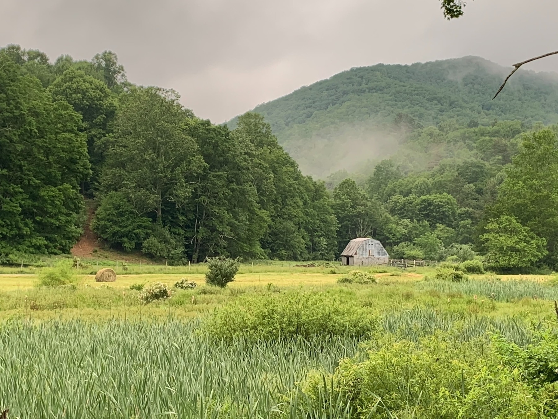 A rustic barn sits quietly amid lush greenery, with mist hovering over forested hills in the background, creating a serene rural landscape.