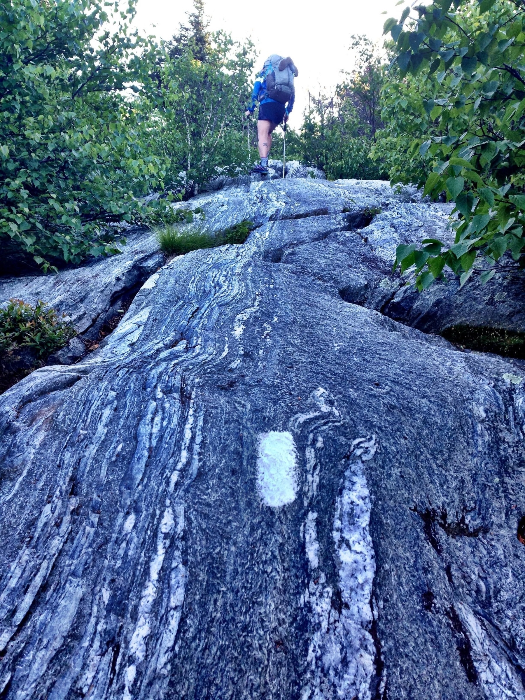 A person is hiking up a rocky trail with a backpack and trekking poles. The trail features smooth, striated rock with a white blaze marking. Lush green foliage surrounds the path in a forested area. The view is from a low angle, emphasizing the incline of the trail.