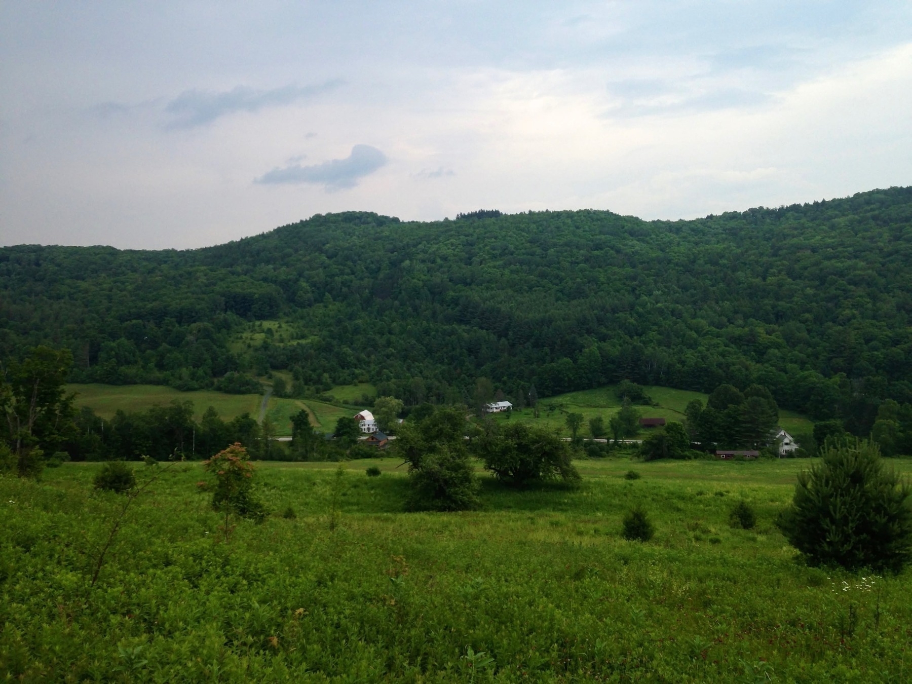 Rolling green hills covered in dense trees stretch across the background, small houses scattered in the valley, under a cloudy sky, creating a peaceful rural scene.