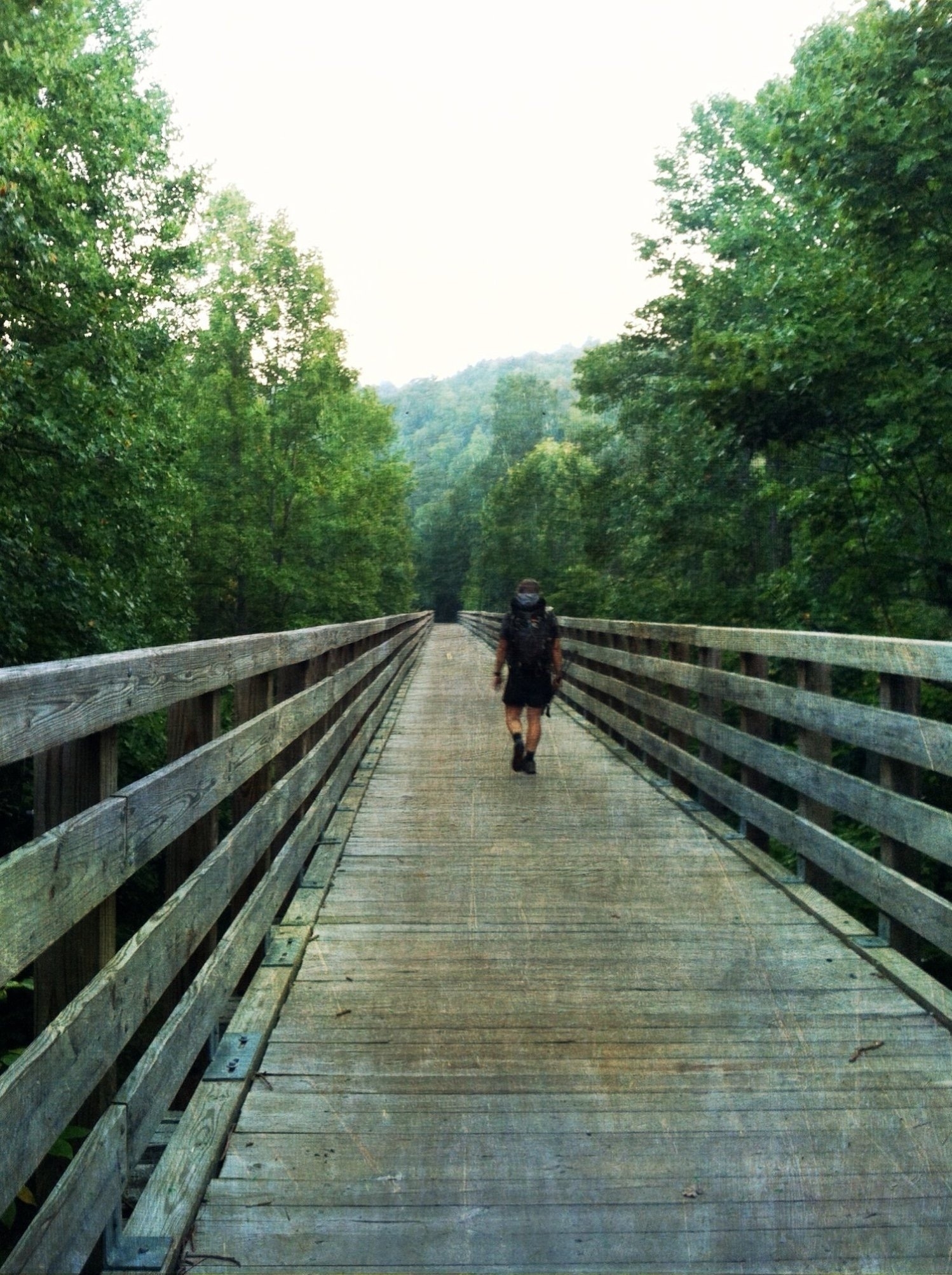 A person wearing a backpack is walking across a wooden bridge surrounded by lush green trees.